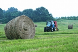 traktor-v-pole