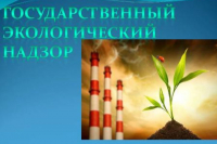 158fb2c1334dc10baf5c0