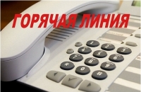 goryachaya_liniya_200