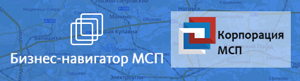 msp-business-hor