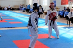 "Кубок дружбы" по тхэквондо