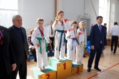 "Кубок дружбы" по тхэквондо