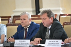 Заседание "Устойчивое развитие сельских территорий" 20.06.18